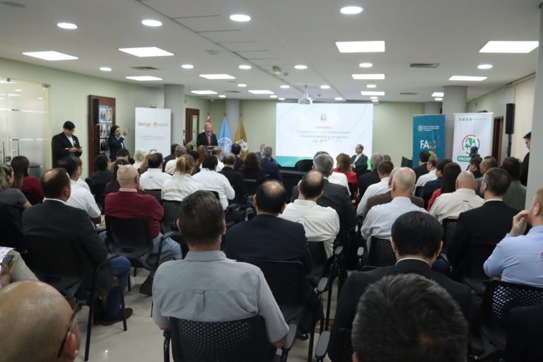 Cooperativas: eje estratégico para sistemas agroalimentarios sostenibles