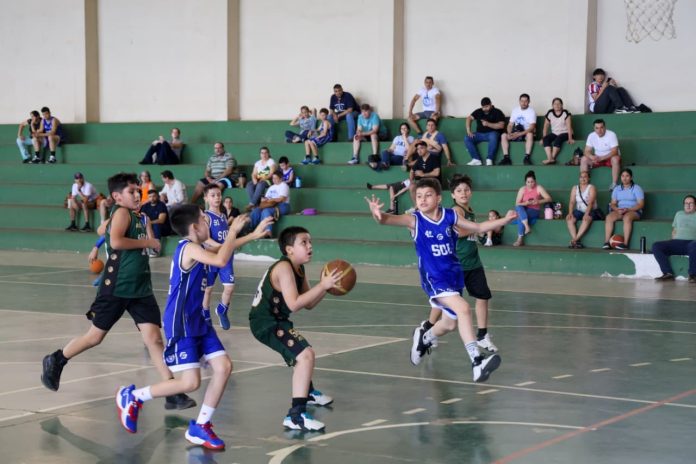 sanlo basket