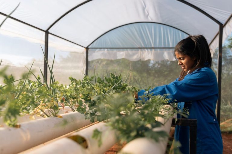 Continúan abiertas las postulaciones para las Escuelas Agrícolas Autosostenibles de Cerrito y Belén