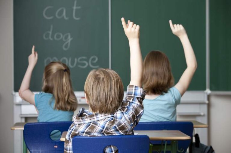 Luque Ltda. brinda cursos de inglés para chicos